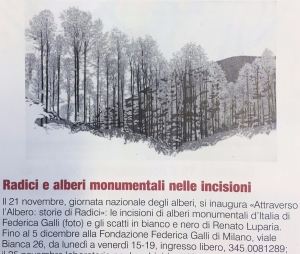 LUPARIA a Fondazione Galli - info